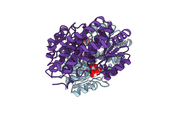 7KQA image