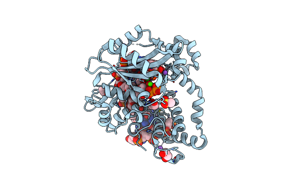 7KSS image