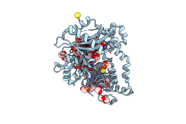 7KSV image
