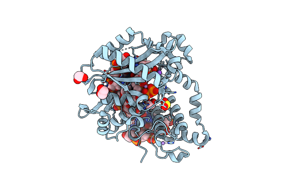 7KTL image