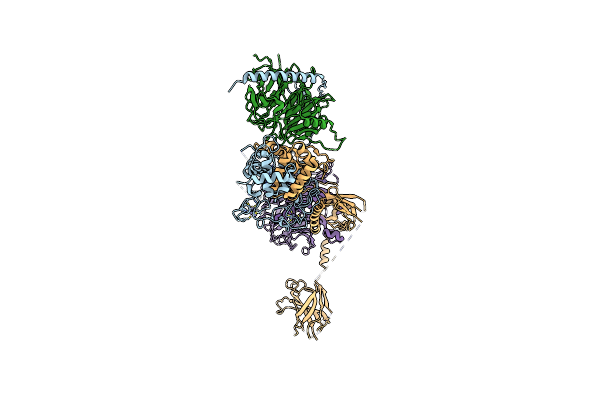 7KTP image