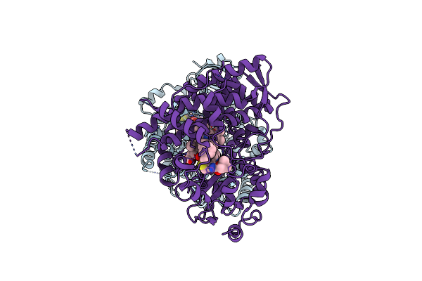 7KVN image