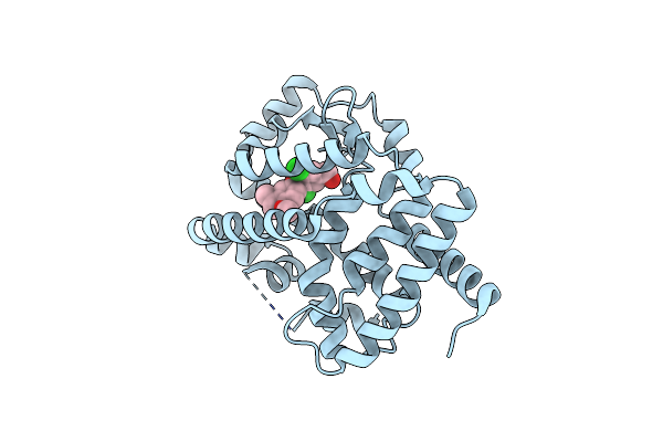 7KXD image