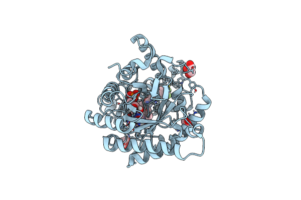 7KYV image