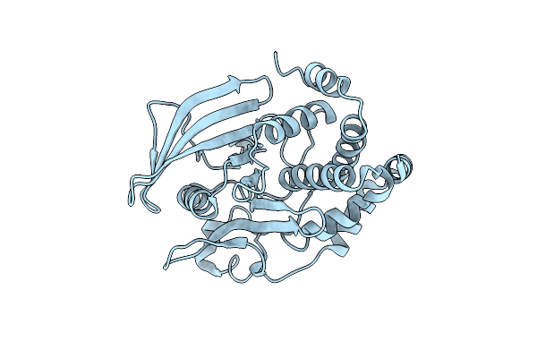 7L0C image
