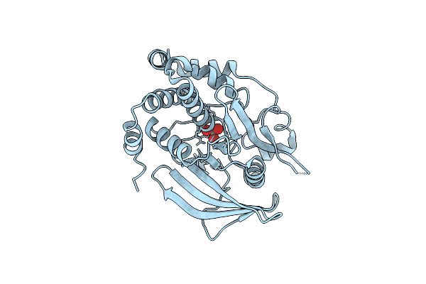 7L0H image