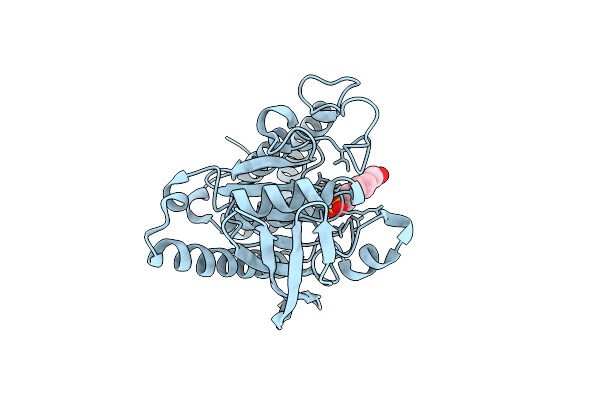 7L0I image