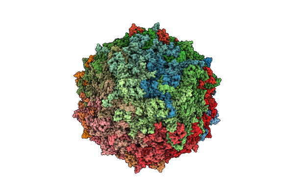 7L0X image