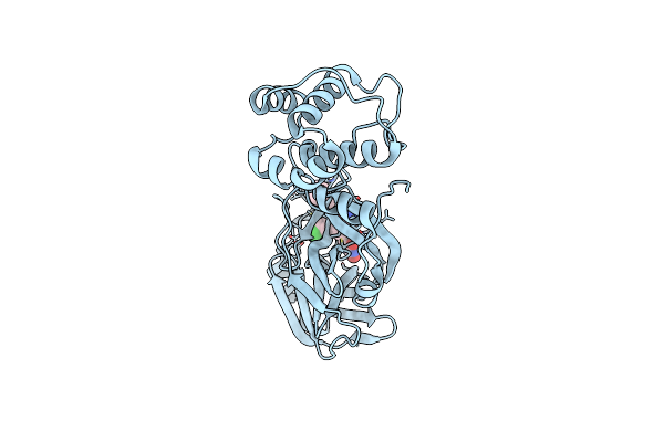 7L12 image