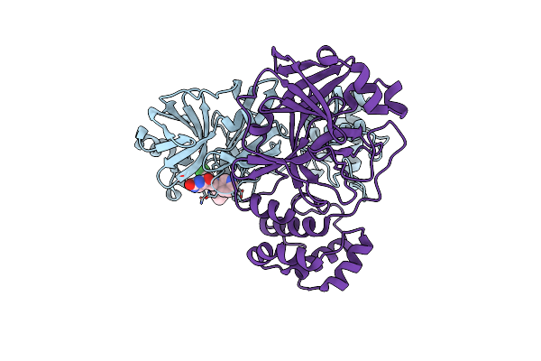 7L13 image