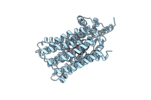 7L17 image