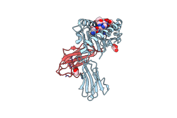 7L1B image