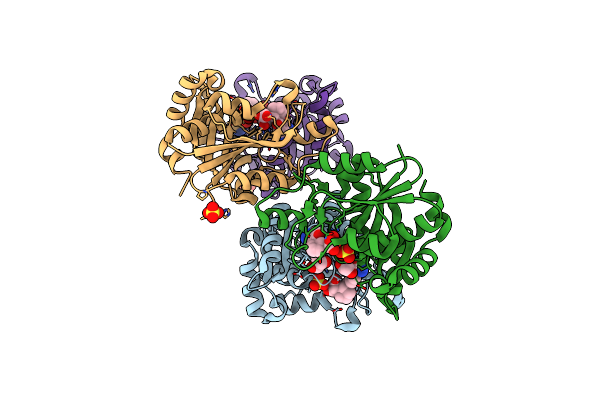 7L1J image
