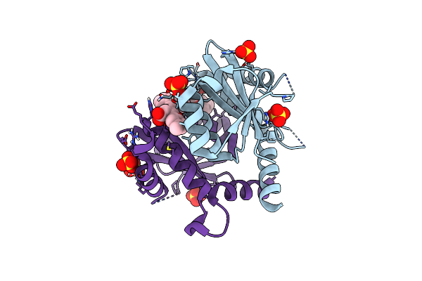 7L1P image