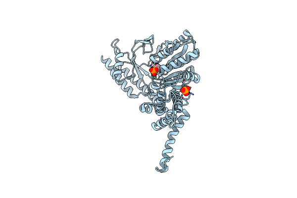 7L1T image