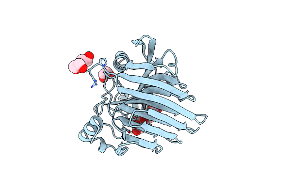 7L1Y image
