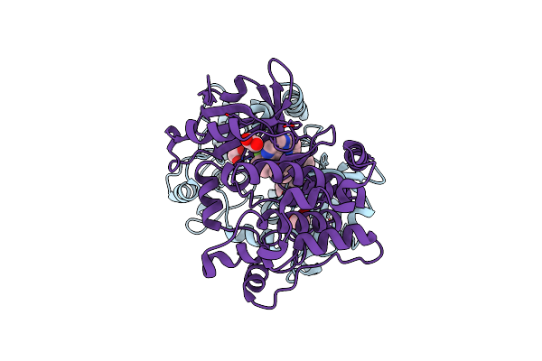 7L25 image