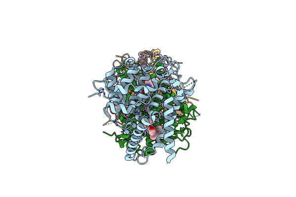 7L28 image