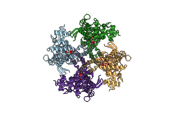 7L2J image