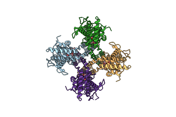 7L2L image