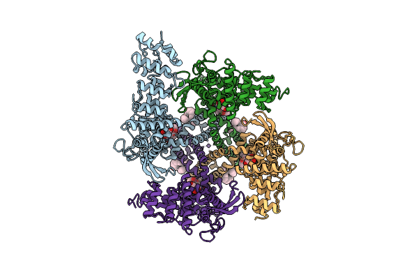7L2P image