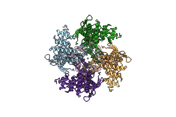 7L2W image