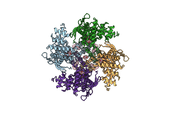 7L2X image