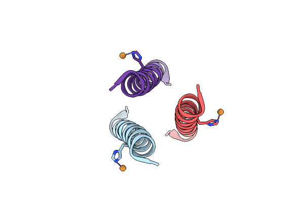7L33 image