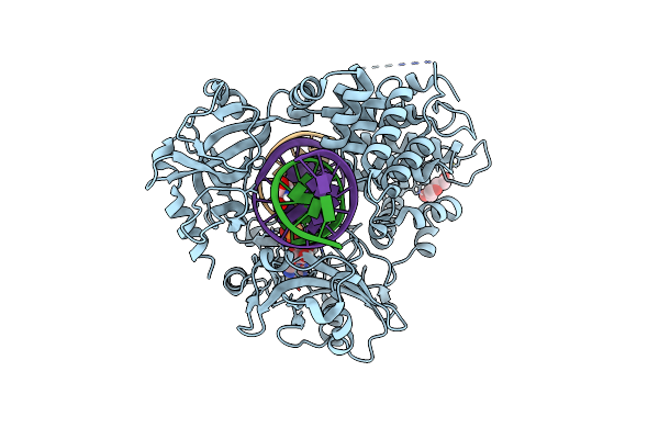 7L35 image
