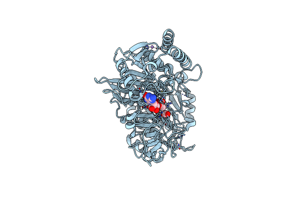 7L3V image