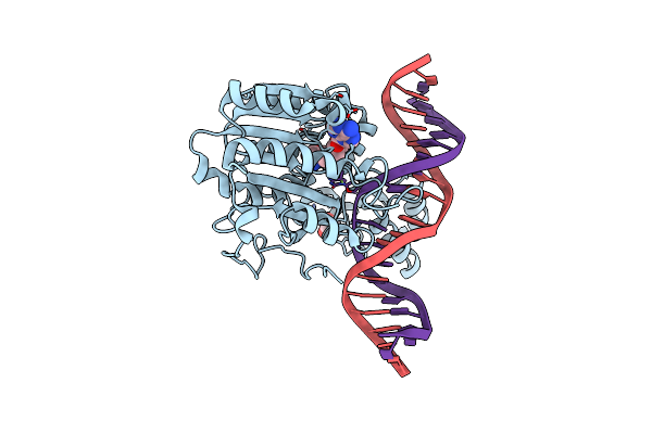 7L4N image