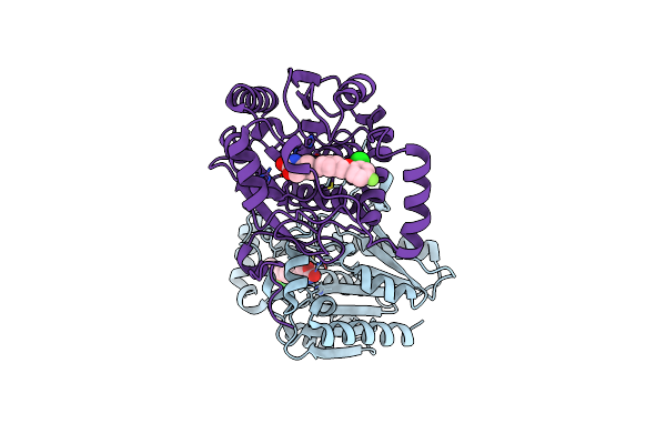 7L4W image