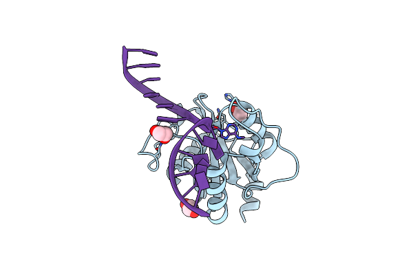 7L4X image