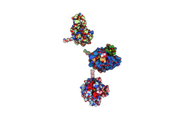 7L4Z image