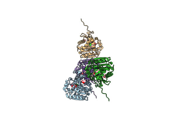 7L50 image