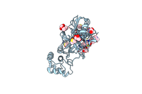 7L5D image