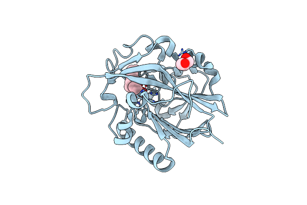 7L5F image