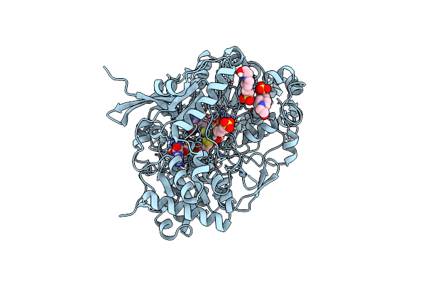 7L5I image