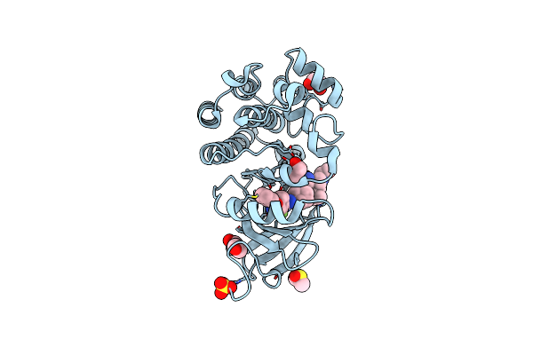 7L5O image