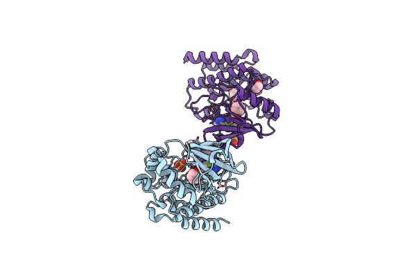 7L5P image