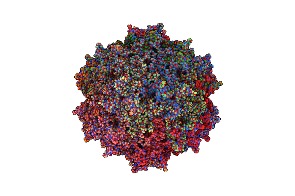 7L5Q image