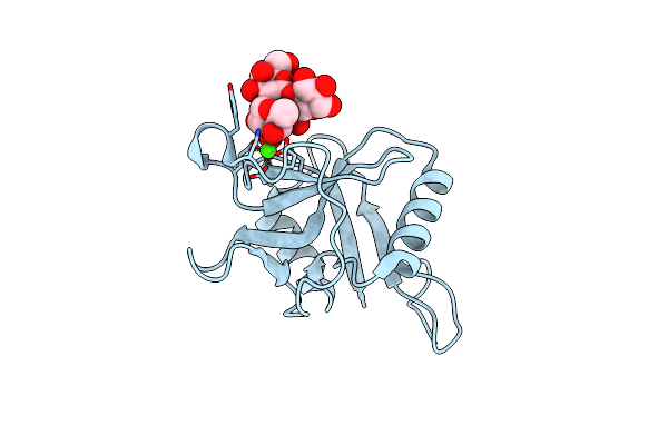 7L62 image