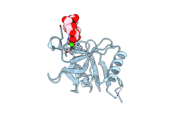 7L63 image