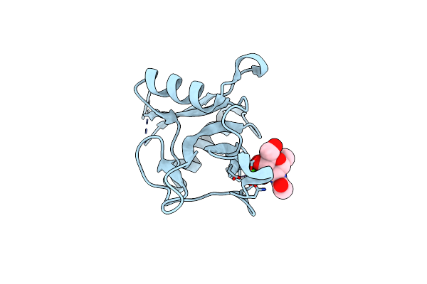 7L66 image