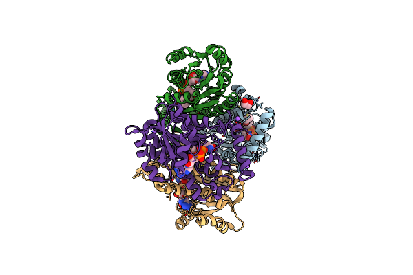 7L6C image