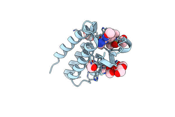 7L6D image