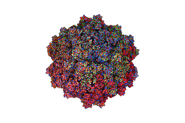 7L6E image