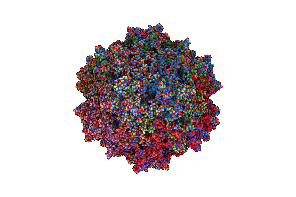 7L6H image