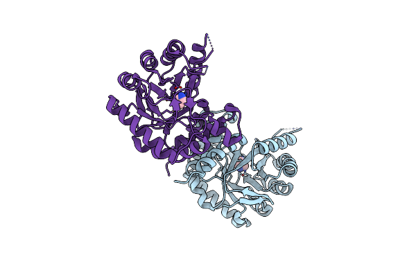 7L6P image