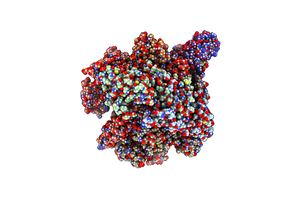 7L7B image